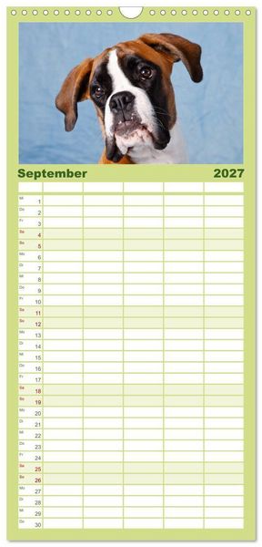 Produktbild: Familienplaner 2027 - Wenn ich gro&szlig; bin werd' ich Boxer mit 5 Spalten (Wandkalender, 21 x 45 cm) CALVENDO