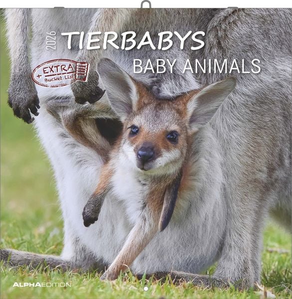 Produktbild: Tierbabys 2026 - Broschürenkalender 30x30 cm (30x60 geöffnet) - Kalender mit Platz für Notizen - Baby Animals - Bildkalender - Wandplaner - Alpha Edit