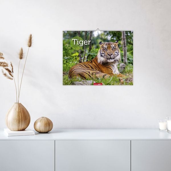Produktbild: Tiger Kalender 2027