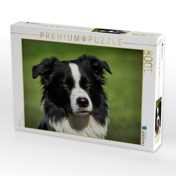 Produktbild: CALVENDO Puzzle Border Collie | 1000 Teile Lege-Gr&ouml;&szlig;e 64x48cm Foto-Puzzle f&uuml;r gl&uuml;ckliche Stunden