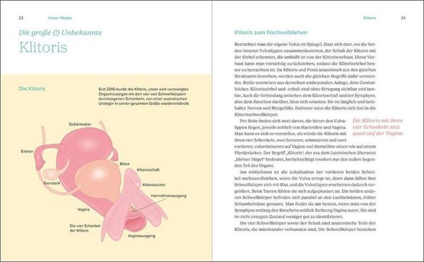 Produktbild: Das gro&szlig;e Gynbuch