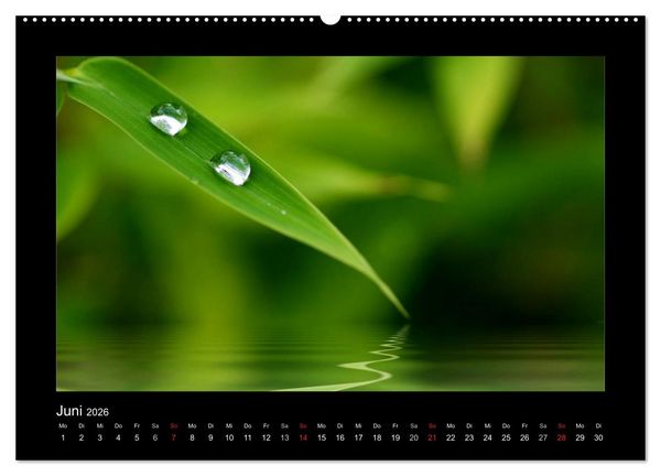 Produktbild: Meine kleine gr&uuml;ne Wassertropfen Welt (hochwertiger Premium Wandkalender 2026 DIN A2 quer), Kunstdruck in Hochglanz