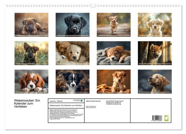 Produktbild: Welpenzauber: Ein Kalender zum Verlieben (Wandkalender 2026 DIN A2 quer), CALVENDO Monatskalender