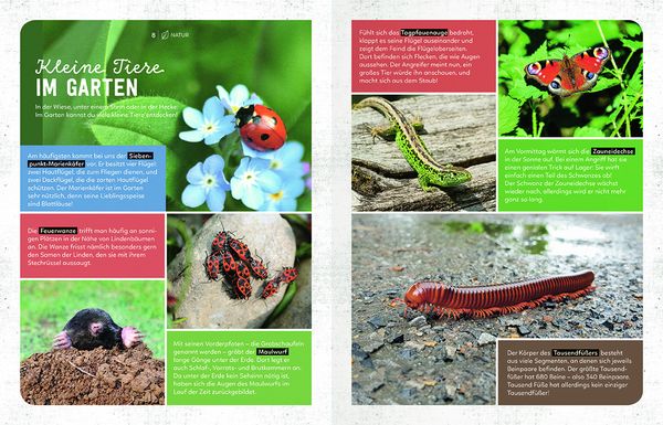 Produktbild: Mein Sach- und Mach-Garten-Buch