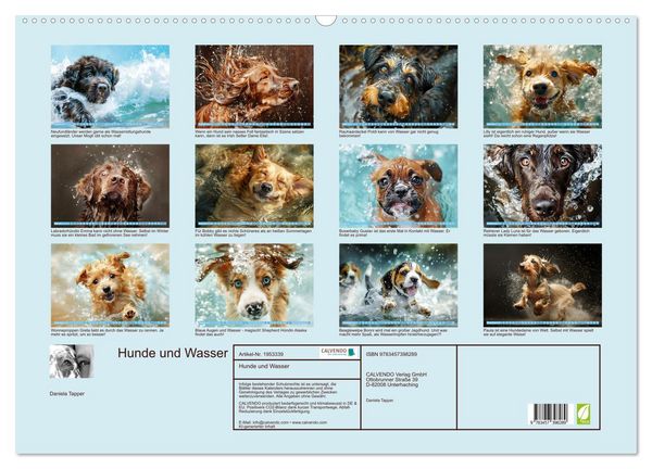 Produktbild: Hunde und Wasser (Wandkalender 2026 DIN A2 quer), CALVENDO Monatskalender