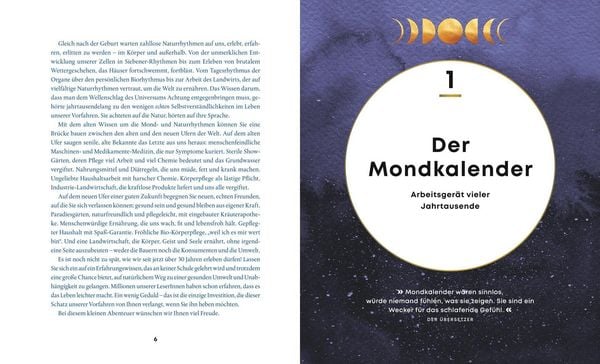 Produktbild: Im Rhythmus von Mond, Natur und Zahl