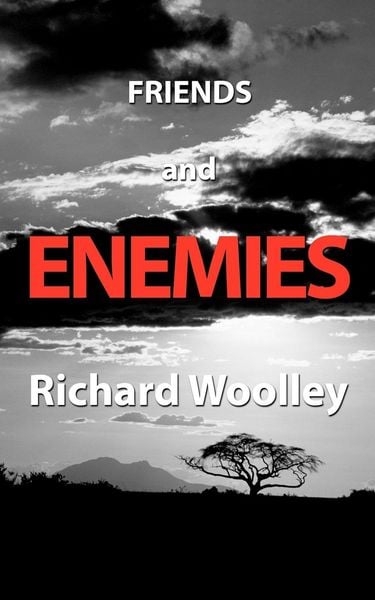 Produktbild: Friends and Enemies