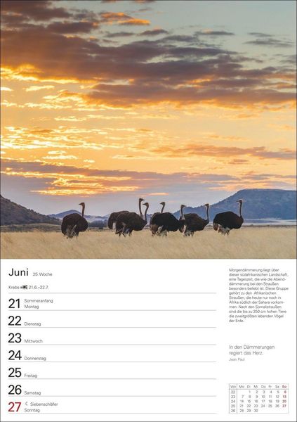 Produktbild: Natursch&auml;tze Afrikas Wochenplaner 2027 - Eine Reise in 53 Bildern