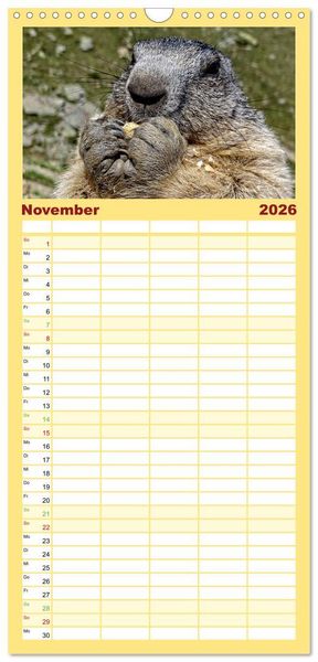 Produktbild: Familienplaner 2026 - Und ewig pfeift das Murmeltier mit 5 Spalten (Wandkalender, 21 x 45 cm) CALVENDO