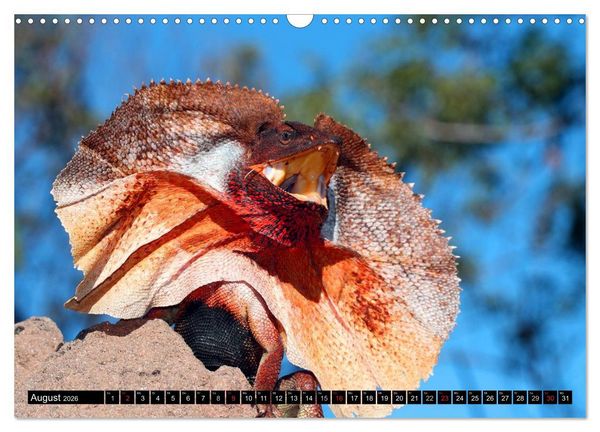Produktbild: Australiens Tierwelt (Wandkalender 2026 DIN A3 quer), CALVENDO Monatskalender