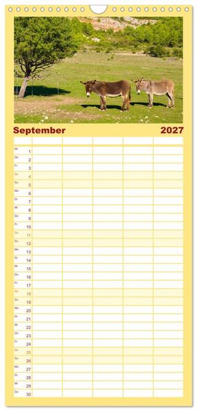 Produktbild: Familienplaner 2027 - Liebenswerte Esel mit 5 Spalten (Wandkalender, 21 x 45 cm) CALVENDO
