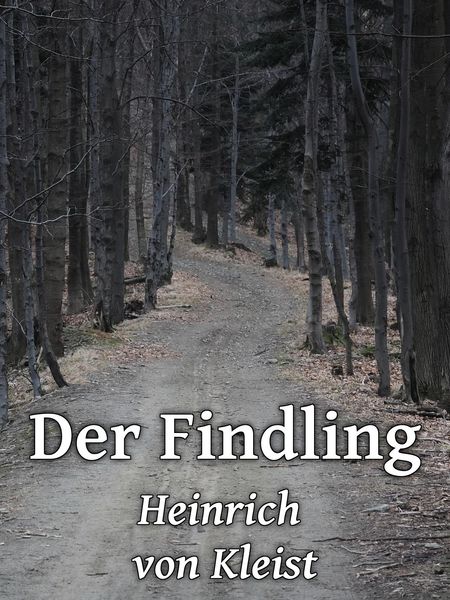 Produktbild: Der Findling