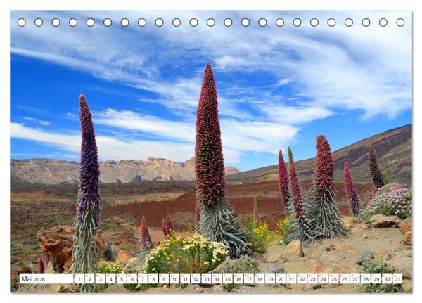 Produktbild: Teneriffa Insel der Gl&uuml;ckseligen (Tischkalender 2026 DIN A5 quer), CALVENDO Monatskalender