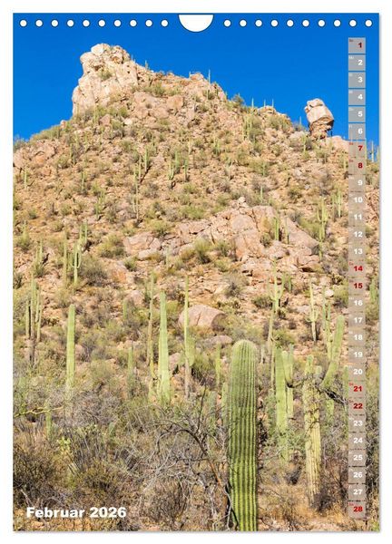 Produktbild: SAGUARO NATIONAL PARK W&uuml;stenimpressionen aus Arizona (Wandkalender 2026 DIN A4 hoch), CALVENDO Monatskalender
