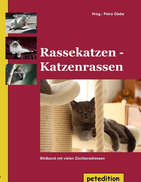 Produktbild: Rassekatzen - Katzenrassen