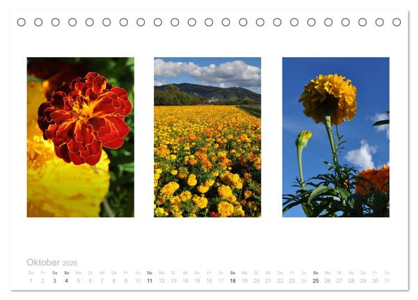 Produktbild: Blumen Trilogien (Tischkalender 2026 DIN A5 quer), CALVENDO Monatskalender