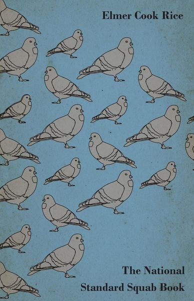 Produktbild: The National Standard Squab Book - A Practical Manual for the Installation of a Successful Squab Plant - How to Make a Pigeon and Squab Business Pay