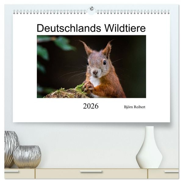 Deutschlands Wildtiere (hochwertiger Premium Wandkalender 2026 DIN A2 quer), Kunstdruck in Hochglanz