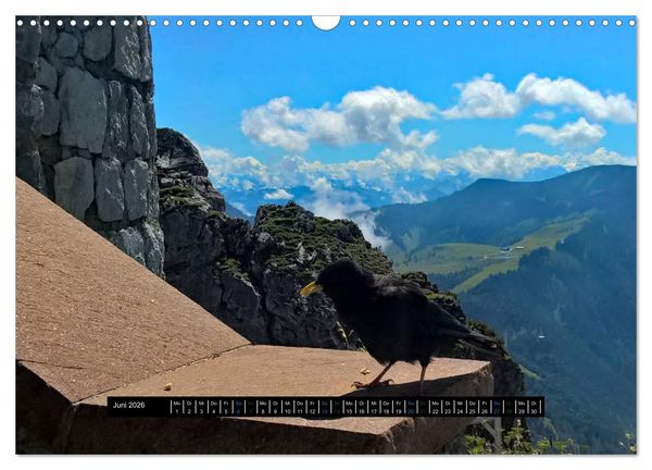 Produktbild: Rabenhafte Momente! (Wandkalender 2026 DIN A3 quer), CALVENDO Monatskalender