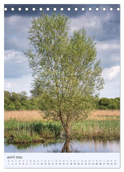 Produktbild: Arbres solitaires (Calendrier de bureau 2026 DIN A5 horizontal), CALVENDO calendrier mensuel
