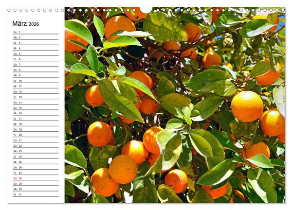 Produktbild: Griechische Insel Kos (Wandkalender 2026 DIN A3 quer), CALVENDO Monatskalender