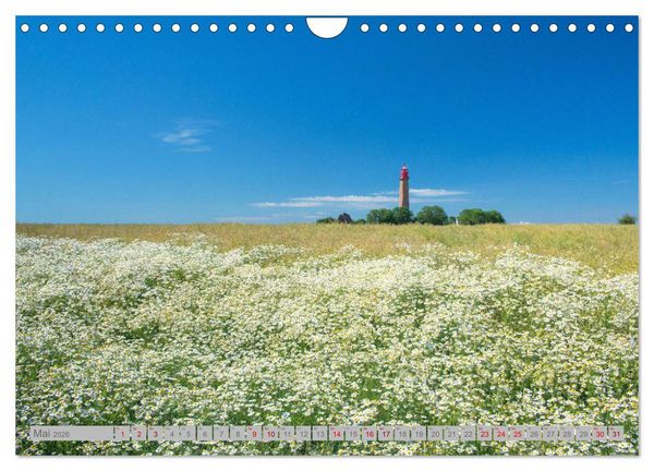 Produktbild: Leuchtt&uuml;rme - W&auml;chter der K&uuml;sten (Wandkalender 2026 DIN A4 quer), CALVENDO Monatskalender
