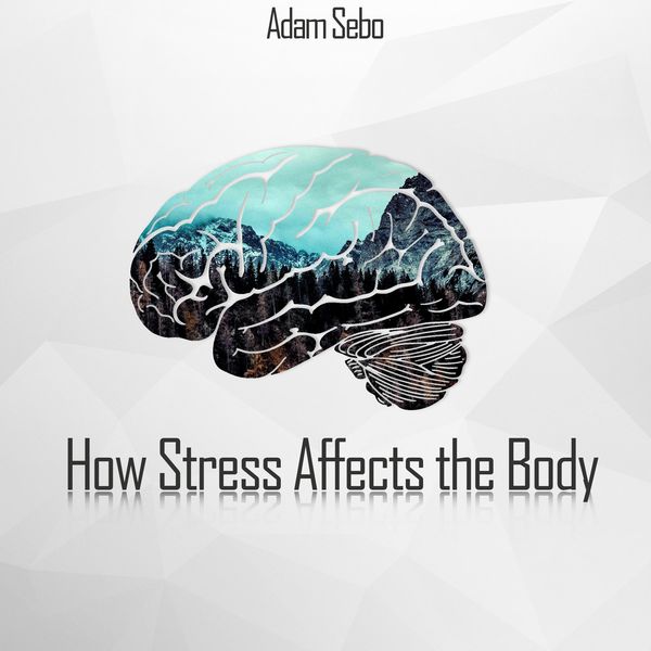 Produktbild: How Stress Affects the Body