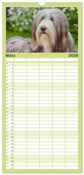 Produktbild: Familienplaner 2026 - Liebenswerter Clown Bearded Collie mit 5 Spalten (Wandkalender, 21 x 45 cm) CALVENDO