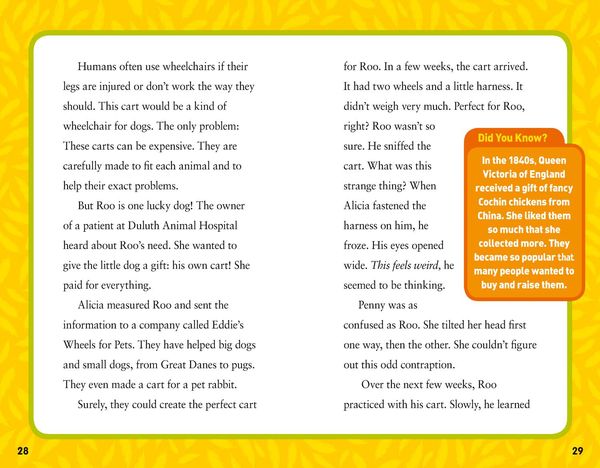 Produktbild: National Geographic Kids Chapters: Together Forever!