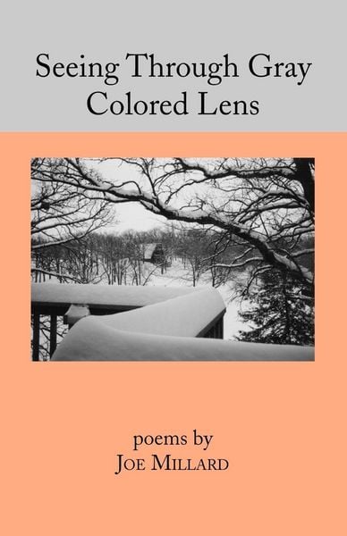 Produktbild: Seeing Through Gray Colored Lens