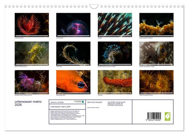 Produktbild: unterwasser makro 2026 (Wandkalender 2026 DIN A3 quer), CALVENDO Monatskalender