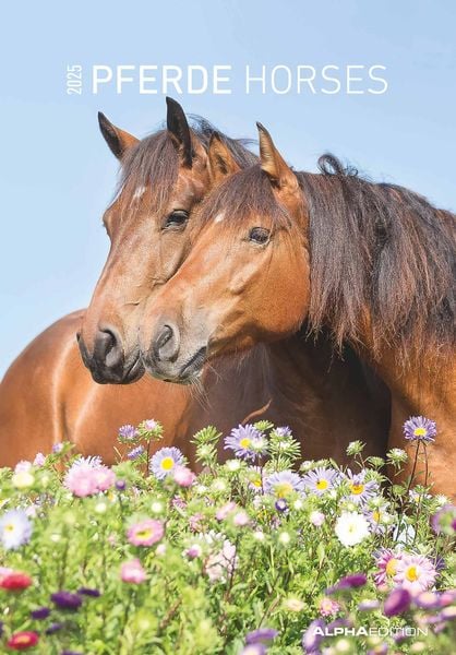 Pferde 2025 - Bildkalender 23,7x34 cm - Kalender mit Platz für Notizen - mit vielen Zusatzinformationen - Horses - Wandk