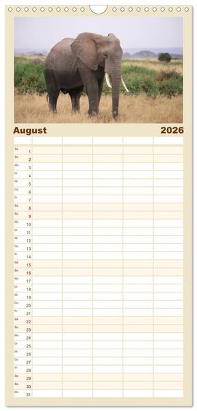 Produktbild: Familienplaner 2026 - Kenias wilde Elefanten mit 5 Spalten (Wandkalender, 21 x 45 cm) CALVENDO