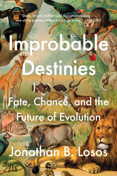 Produktbild: Improbable Destinies