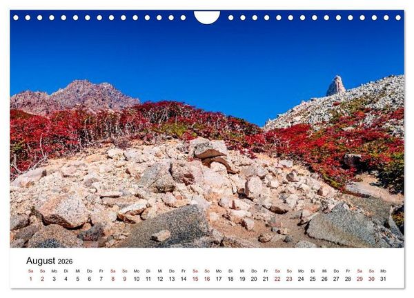 Produktbild: Patagonien, Torres del Paine Nationalpark: Am Rand der Welt (Wandkalender 2026 DIN A4 quer), CALVENDO Monatskalender