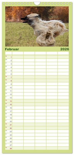 Produktbild: Familienplaner 2026 - Windhunde im Portrait mit 5 Spalten (Wandkalender, 21 x 45 cm) CALVENDO