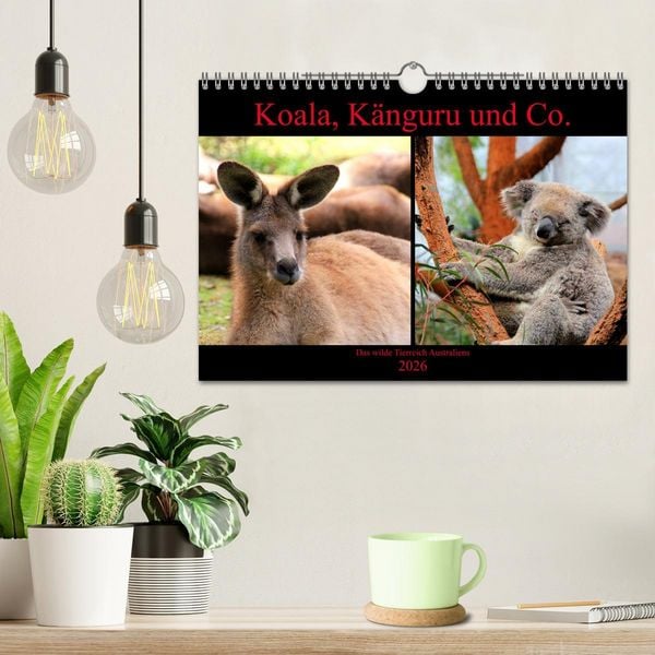 Produktbild: Koala, K&auml;nguru und Co. &ndash; Das wilde Tierreich Australiens (Wandkalender 2026 DIN A4 quer), CALVENDO Monatskalender