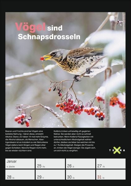 Produktbild: Terra X &ndash; Das Wunder Erde Wochenplaner 2027
