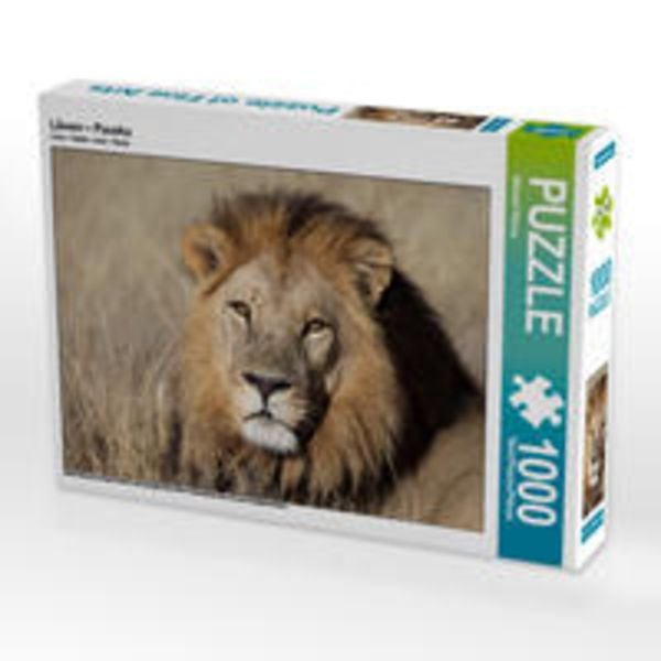 CALVENDO Puzzle Löwen – Pascha 1000 Teile Lege-Größe 64 x 48 cm Foto-Puzzle Bild von Michael Herzog