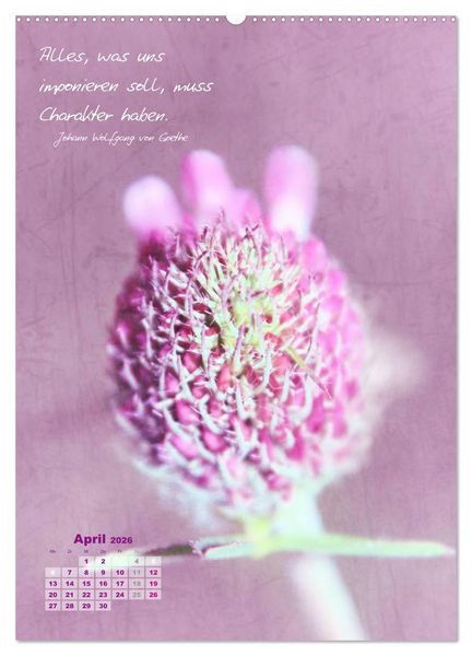 Produktbild: Blumen & Zitate (Wandkalender 2026 DIN A2 hoch), CALVENDO Monatskalender