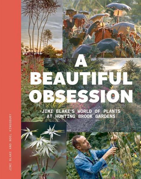 Produktbild: A Beautiful Obsession