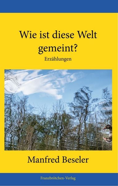 Produktbild: Wie ist diese Welt gemeint?