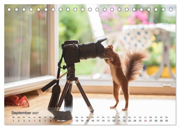 Produktbild: Spa&szlig; mit Eichh&ouml;rnchen! (Tischkalender 2027 DIN A5 quer), CALVENDO Monatskalender