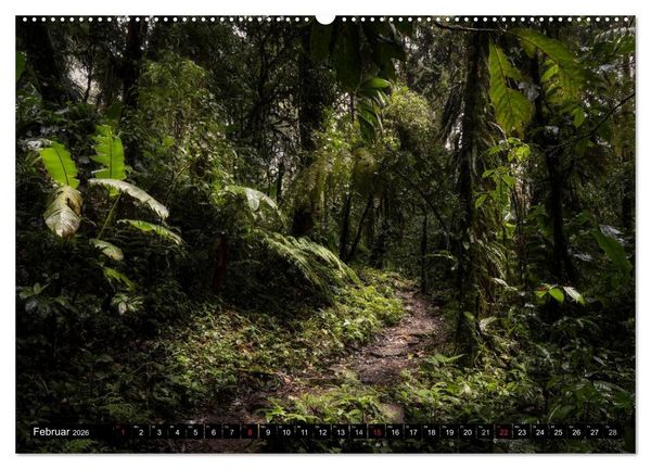 Produktbild: COSTA RICA Farben und Licht (Wandkalender 2026 DIN A2 quer), CALVENDO Monatskalender