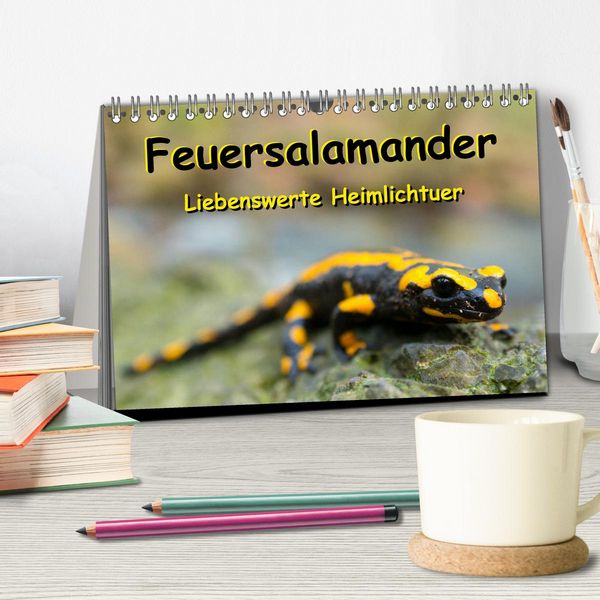 Produktbild: Feuersalamander - Liebenswerte Heimlichtuer (Tischkalender 2026 DIN A5 quer), CALVENDO Monatskalender