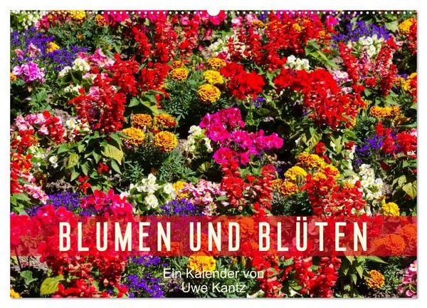 Produktbild: Blumen und Bl&uuml;ten (Wandkalender 2026 DIN A2 quer), CALVENDO Monatskalender