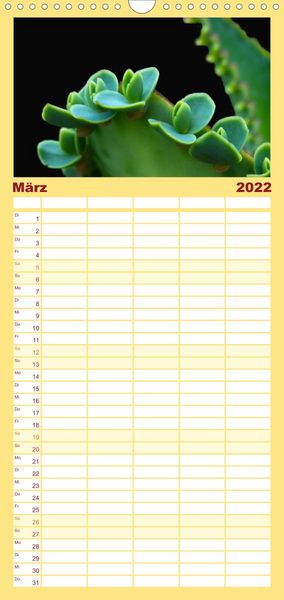 Produktbild: Bl&uuml;tensymphonie - Kakteen und Sukkulenten - Familienplaner hoch (Wandkalender 2022 , 21 cm x 45 cm, hoch)