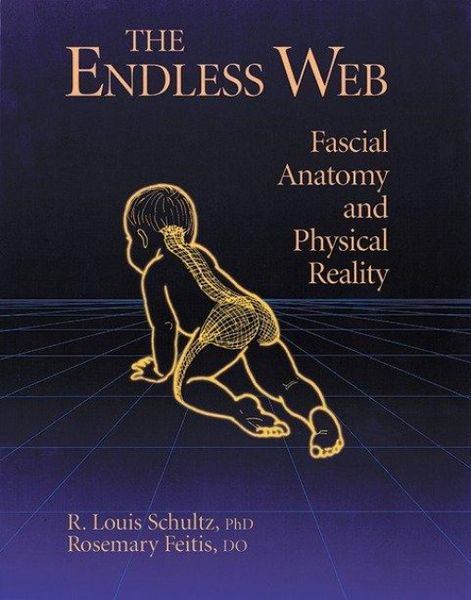 Produktbild: The Endless Web