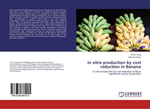 Produktbild: In vitro production by cost reduction in Banana