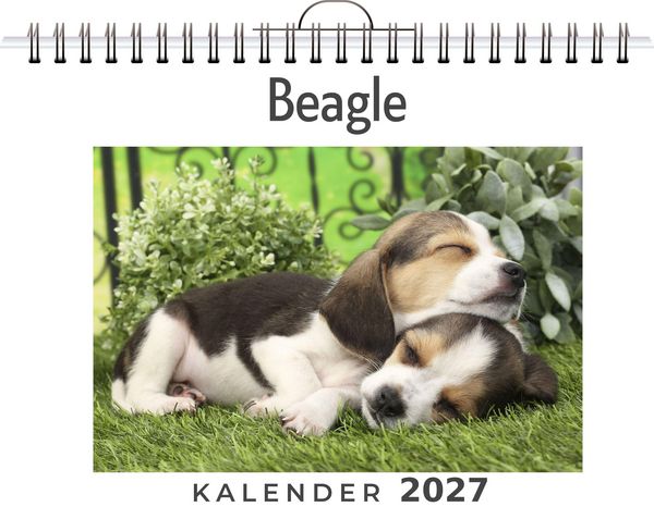 Produktbild: Beagle